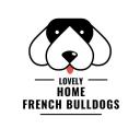 Cute French Bulldogs For Sale in Philadelphia logo